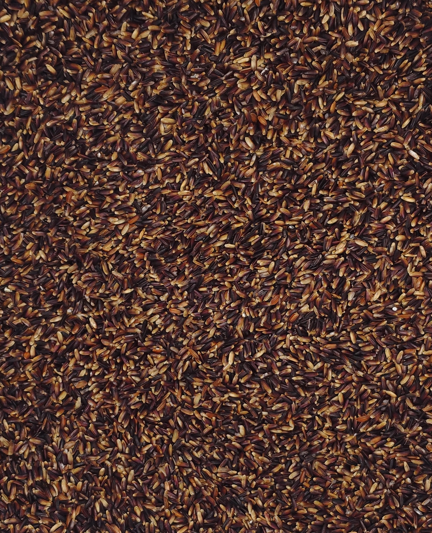 Burma Karupu Kavuni  பர்மா கருப்பு கவுனி