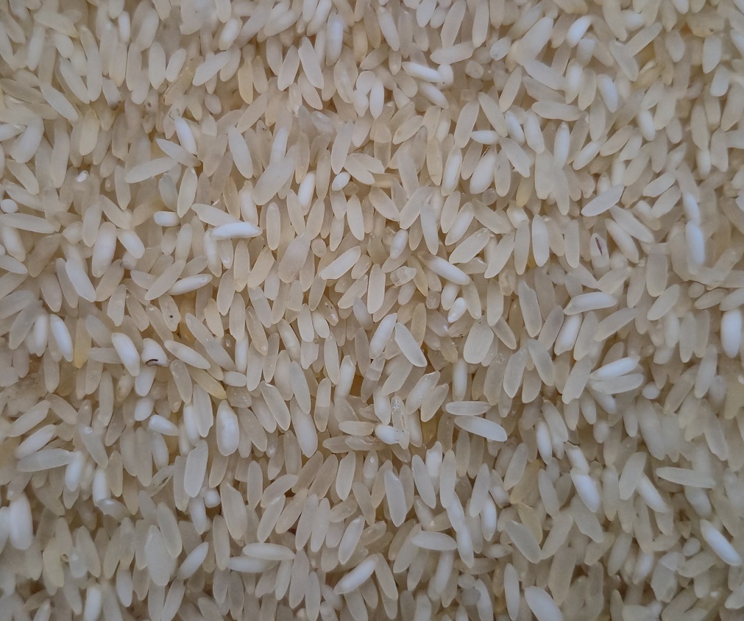 Mysore Malli மைசூர் மல்லி