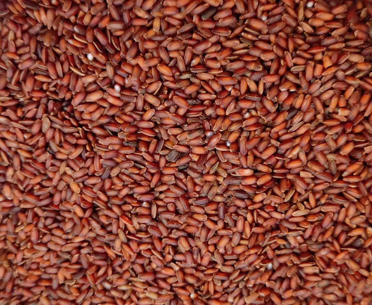 Poongar Rice பூங்கார் அரிசி